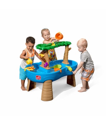 Tropical Rainforest Water Table